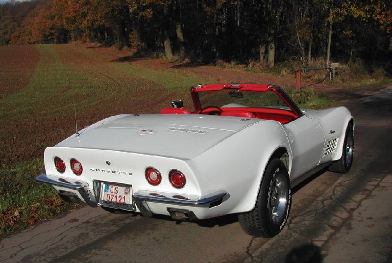 MARTINSRANCH 72 Stingray white red (12) 